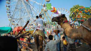 Fairs and Festivals